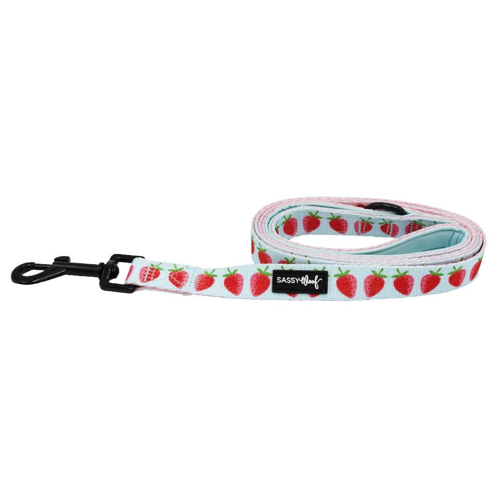 SASSY WOOF I Woof You Berry Much (Fruits) Dog Leash