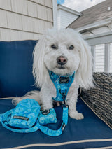 SASSY WOOF Tropical Tides Treat Pouch