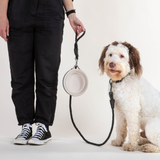 Cleverpup Nomad Collapsible Dog Bowl