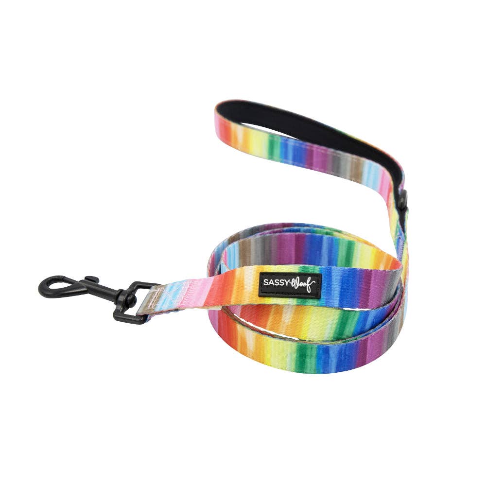 SASSY WOOF Love You Fur You Dog Leash