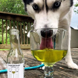 PetWineShop Dog Wine CharDOGnay Salmon + Bone Health Liquid Supplement