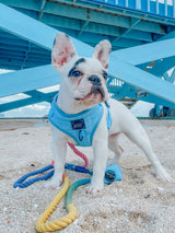 SASSY WOOF Blumond Dog Adjustable Harness