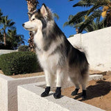 Alldogboots PolarPaws Soft Sole Waterproof Winter Dog Boots
