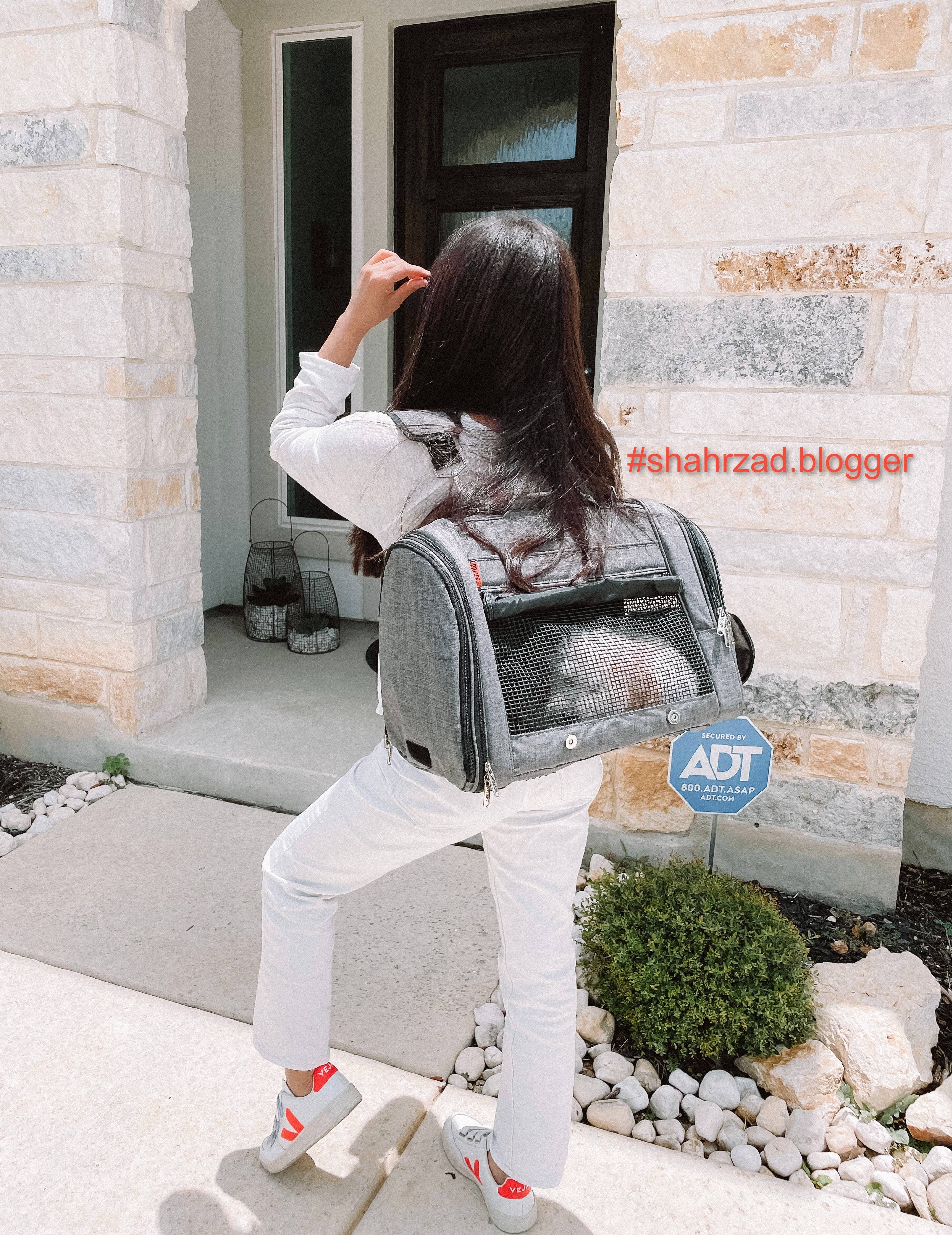 Prefer Pets Travel Gear Hideaway Backpack