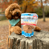 Farm to Pet Chicago Chicken Chips Dog Treats