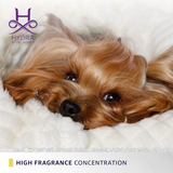 Hydra by Pet Society Hydra Professional Forever Candy Cologne for Dogs