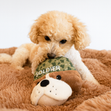 STEELDOG USA LLC Ruffian Hero Soldier Dog Toy