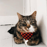 Made By Cleo - "Cozy Cabin Red" - Bandana for Cat + Small Dog