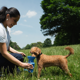 Springer Pets Dog Travel Water Bottle Flip Silicone 20oz