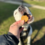 Farm to Pet Healthy Dog Treats Fish Chips Dog Treats