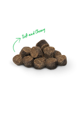 Open Farm Be Good Bites Soft & Chewy Chicken 6oz Dog Treats