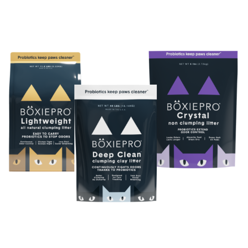Boxiecat BoxiePro Cat Litter