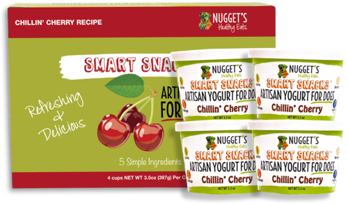 Nuggets Healthy Eats Smart Snack Frozen Artisan Yogurt for Dogs