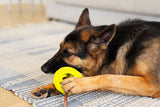 Messy Mutts Totally Pooched Stuff n' Brush Tire 5" Dog Toy