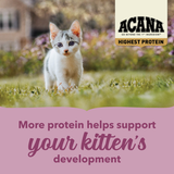 Acana Cat Highest Protein Kitten Dry Cat Food