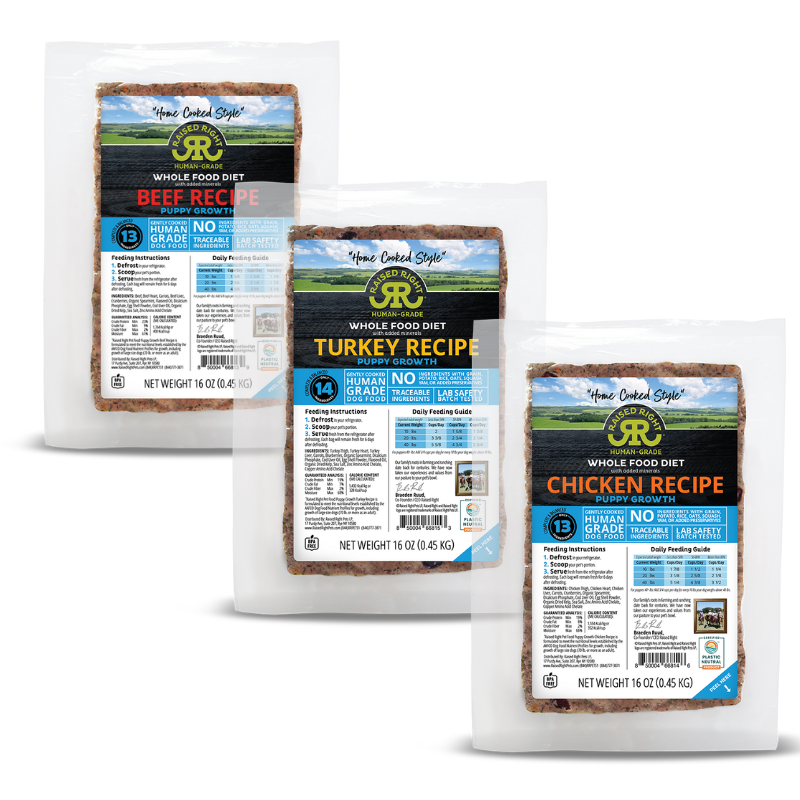 Raised Right Frozen Whole Food Diet Human Grade Puppy Recipes for Dogs
