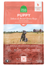 Open Farm Ancient Grain Puppy Salmon Recipe Dry Dog Food