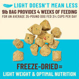 Primal Kibble in the Raw Fish & Pork Dog Food