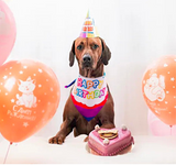 Sparky & Co Birthday Screen Printed Pet Bandanas 34"