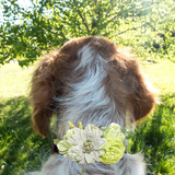 Sparky & Co Garden Party Flower Corsage Collar Accessory
