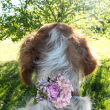 Sparky & Co Garden Party Flower Corsage Collar Accessory