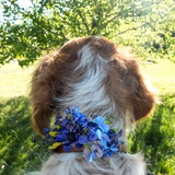 Sparky & Co Garden Party Flower Corsage Collar Accessory