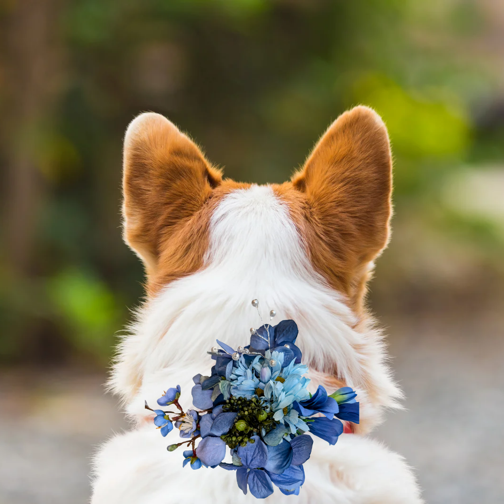 Sparky & Co Garden Party Flower Corsage Collar Accessory