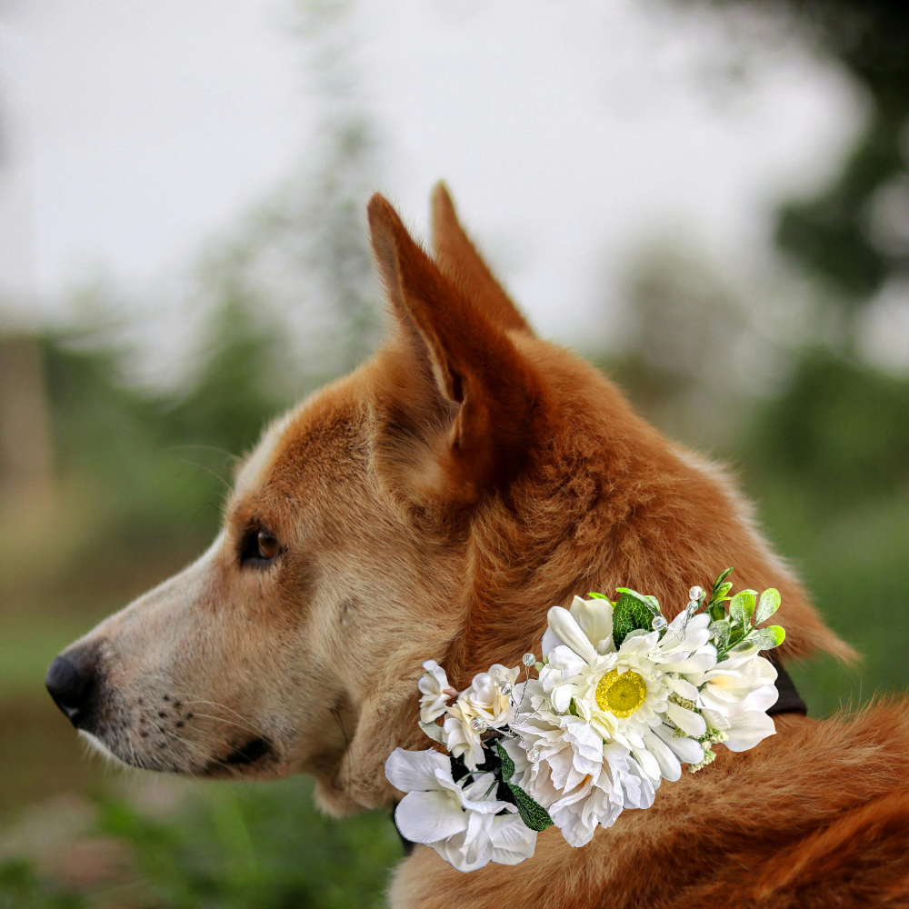 Sparky & Co Garden Party Flower Corsage Collar Accessory