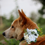 Sparky & Co Garden Party Flower Corsage Collar Accessory