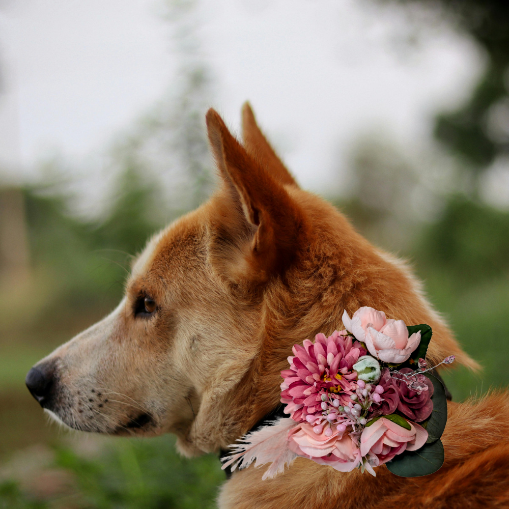 Sparky & Co Garden Party Flower Corsage Collar Accessory