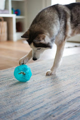 Messy Mutts Totally Pooched Stuff 'N Wobble Ball 5" Dog Toy