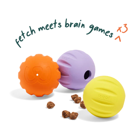 Woof Flyball 2-in-1 Fetch Ball Puzzle Dog Toy