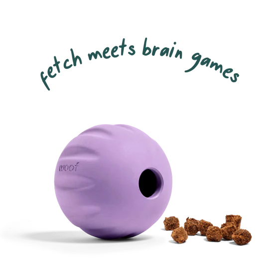 Woof Flyball 2-in-1 Fetch Ball Puzzle Dog Toy