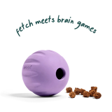 Woof Flyball 2-in-1 Fetch Ball Puzzle Dog Toy
