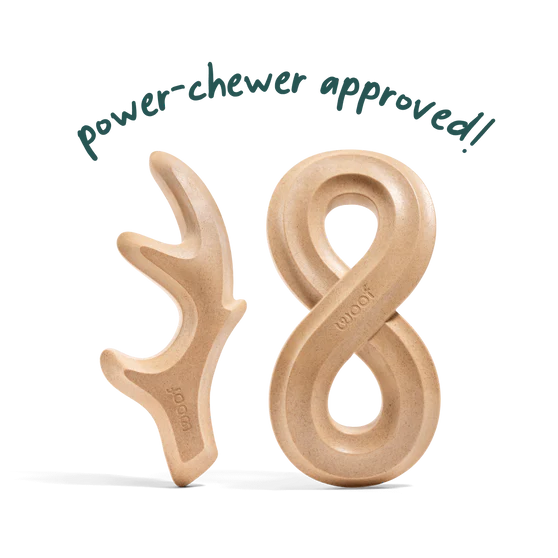 Woof Honest Chew Dog Toy