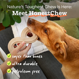 Woof Honest Chew Dog Toy