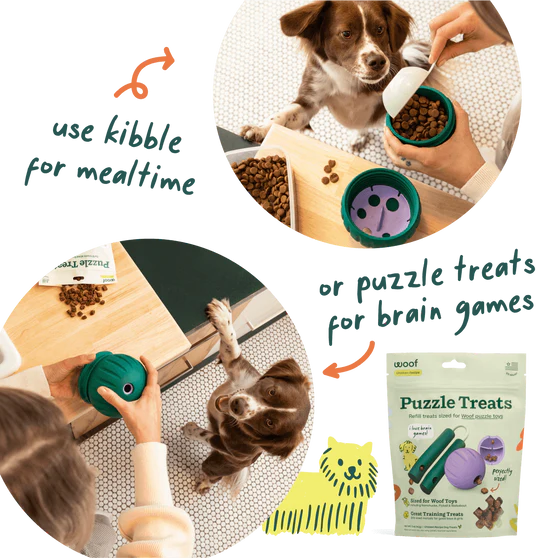 Woof Walkabout Slow Feeder Treat Puzzle Dog Toy