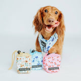 SASSY WOOF Sunflower Dreams Treat Pouch
