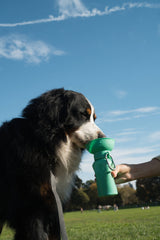 Springer Pets Dog Travel Water Bottle Flip Silicone 20oz