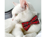 Made By Cleo - "Hearthside" - Bow Tie for Cats + Small Dogs