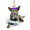 Huxley & Kent Happy Barkday Celebration Box for Dogs