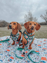 SASSY WOOF Peanuts Beagle Scouts Dog Waste Bag Holder