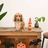 HugSmart Pet Howloween Night Pumpkin Ale TPR Rubber Dog Toy