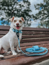 SASSY WOOF Blue Dog Waterproof Leash