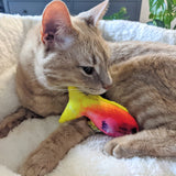 Huxley & Kent Rainbow Guppy Cat Toy