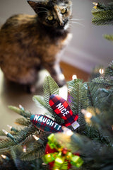 Pearhead Christmas Naughty & Nice 2pk Cat Toys