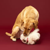 Petshop by Fringe Studio Hair Today, Cuddle Tomorrow Plush Dog Toy