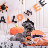 HugSmart Pet Howloween Night Pumpkin Ball Dog Toy