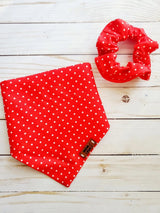Mom And Pup Co. Over the Collar Dog Bandana