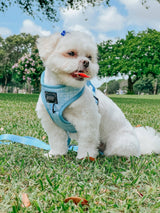 SASSY WOOF Blumond Dog Adjustable Harness